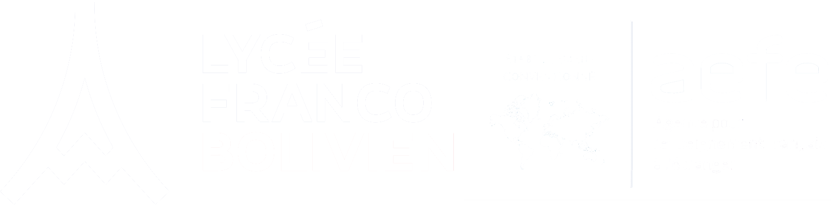 LOGO FRANCO BOLIVIANO